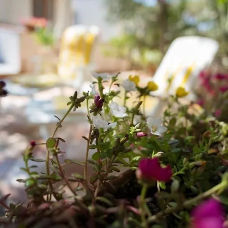 Apartment In Mit Terrasse, Grill Und Garten *